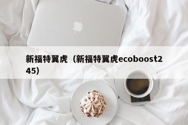 新福特翼虎（新福特翼虎ecoboost245）