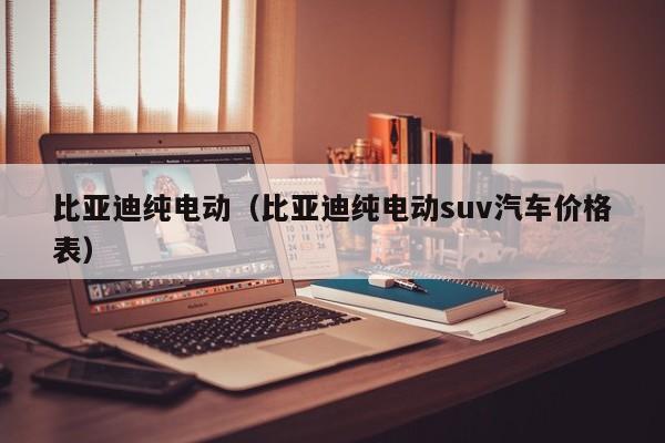 比亚迪纯电动（比亚迪纯电动suv汽车价格表）