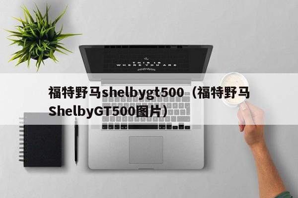 福特野马shelbygt500（福特野马ShelbyGT500图片）