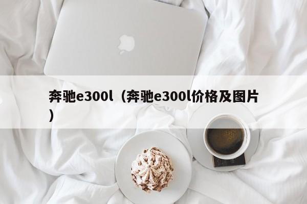 奔驰e300l（奔驰e300l价格及图片）