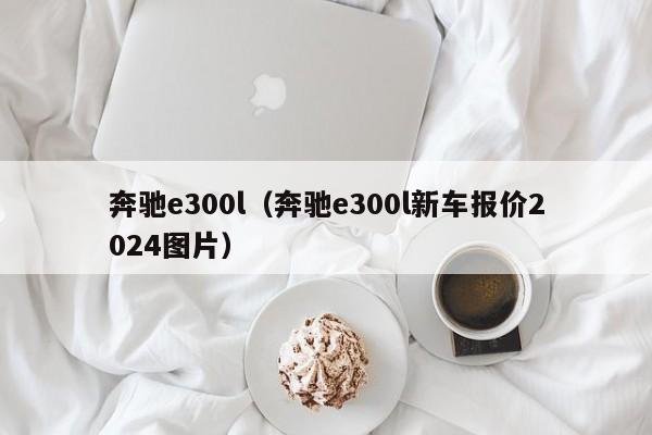 奔驰e300l（奔驰e300l新车报价2024图片）